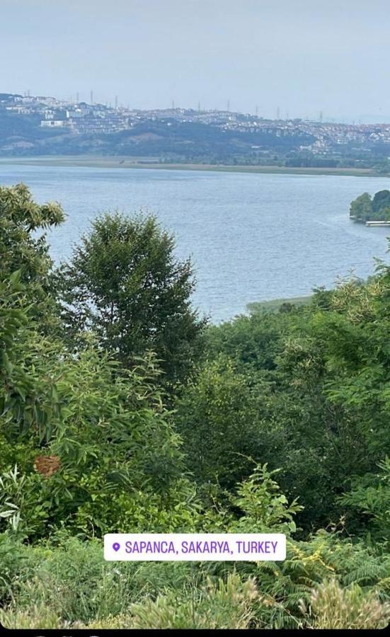 Sapanca Manzara Villa 1 Isitma Havuzlu Exteriör bild
